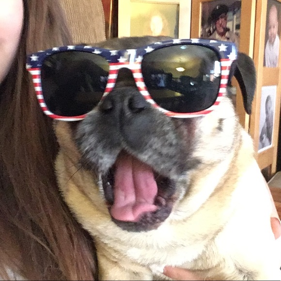 Meet your Posher, Madi - Picture 1 of 1